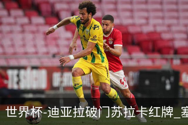 世界杯-迪亚拉破门苏拉卡红牌 塞内加尔半场1-0伊拉克